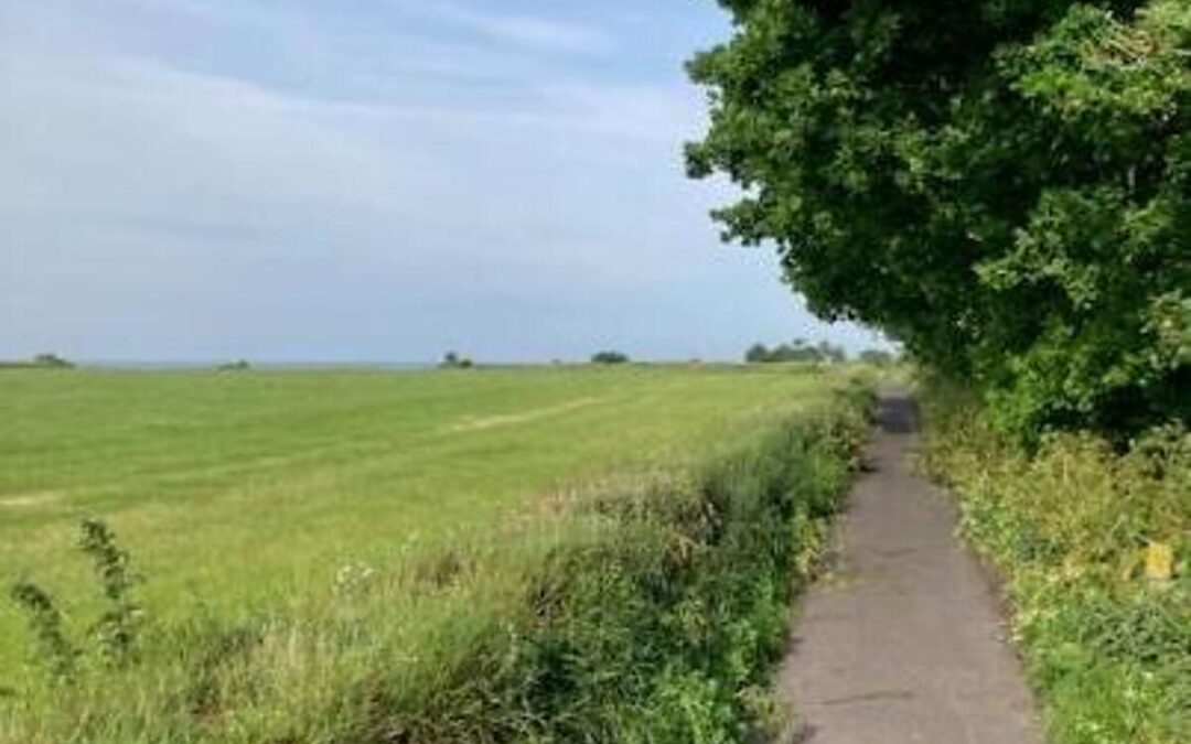 Bundel met alle Ommetjes uit De Muddejeyer